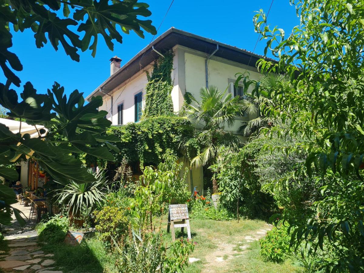 Mi Casa Es Tu Casa - Shkodra Backpackers Hostel Ngoại thất bức ảnh