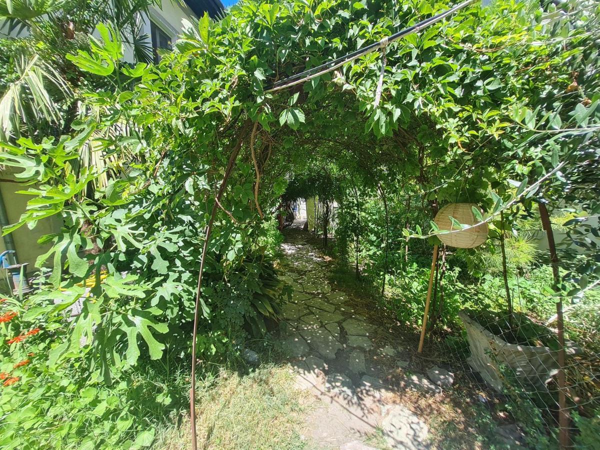 Mi Casa Es Tu Casa - Shkodra Backpackers Hostel Ngoại thất bức ảnh